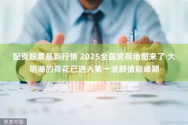 配资股票最新行情 2025全国赏荷地图来了 大明湖的荷花已进入第一波颜值巅峰期