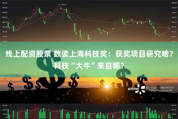 线上配资股票 数读上海科技奖：获奖项目研究啥？科技“大牛”来自哪？