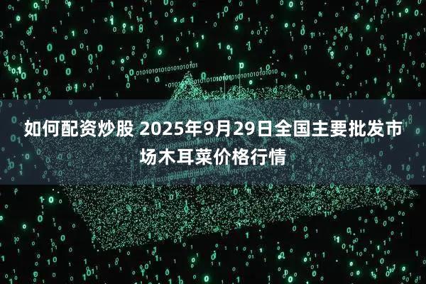 如何配资炒股 2025年9月29日全国主要批发市场木耳菜价格行情